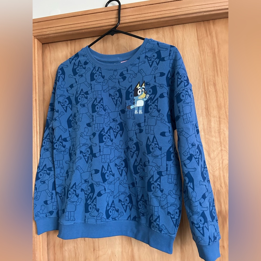 NWT Bluey XS Disney Sweatshirt